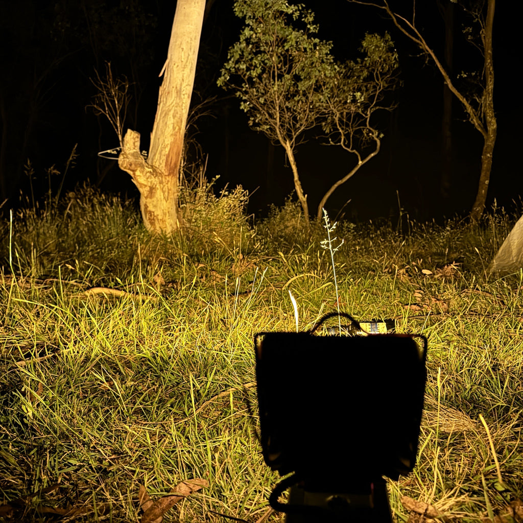HiKOKI-compatible 18V LED Camp Light: lighting up bushland at night, warm setting