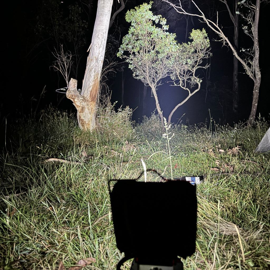 Ozito/Einhell-compatible 18V LED Light & Fan Bundle: lighting up bushland at night, bright white setting