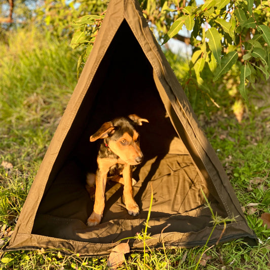 Dog Swag - Mr Swagman