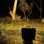 Ozito/Einhell-compatible 18V LED Camp Light: lighting up bushland at night, warm setting