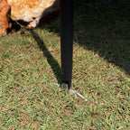 Foot of a Shelta 270 support pole pegged into the grass